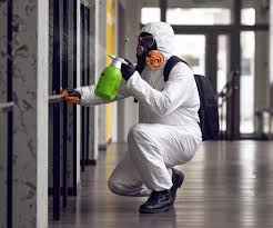 Best Environmental Consulting for Mold Prevention  in Southern Shores, NC