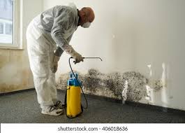 Best Residential Mold Inspection & Testing  in Southern Shores, NC